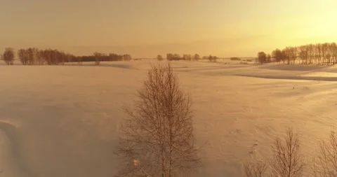Aerial view of cold arctic field landscape, trees with frost snow, ice river and Stock Footage 169968805