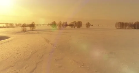 Aerial view of cold arctic field landscape, trees with frost snow, ice river and Stock Footage 169969085