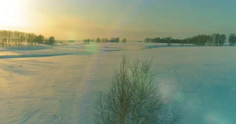 Aerial view of cold arctic field landscape, trees with frost snow, ice river and Stock Footage 311069013