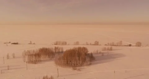 Aerial view of cold winter landscape arctic field, trees covered with frost snow Stock Footage 156790666