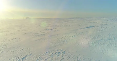 Aerial view of cold winter landscape arctic field, trees covered with frost snow Stock Footage 156791776