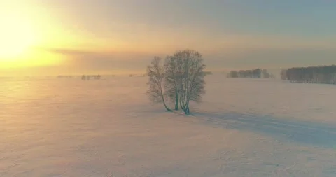 Aerial view of cold winter landscape arctic field, trees covered with frost snow Stock Footage 156795182