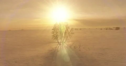 Aerial view of cold winter landscape arctic field, trees covered with frost snow Stock Footage 156795293