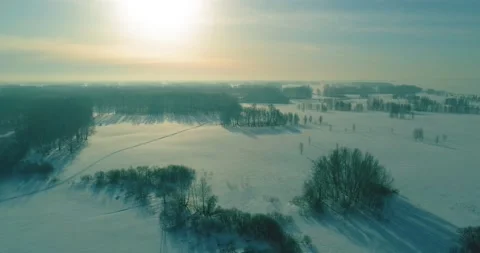 Aerial view of cold winter landscape arctic field, trees covered with frost snow Stock Footage 165572102