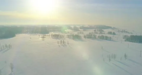 Aerial view of cold winter landscape arctic field, trees covered with frost snow Stock Footage 165572338