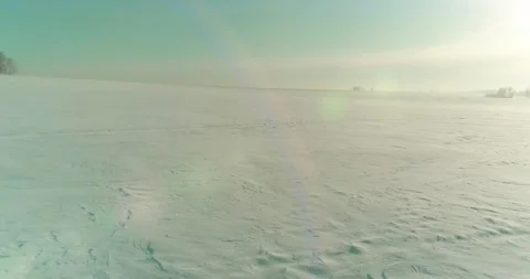 Aerial view of cold winter landscape arctic field, trees covered with frost snow Stock Footage 165573171