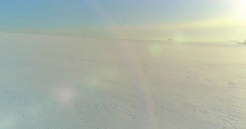 Aerial view of cold winter landscape arctic field, trees covered with frost snow Stock Footage 165573229