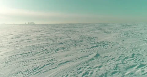 Aerial view of cold winter landscape arctic field, trees covered with frost snow Stock Footage 165573311