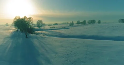 Aerial view of cold winter landscape arctic field, trees covered with frost snow Video stock 165573605