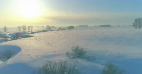 Aerial view of cold winter landscape arctic field, trees covered with frost snow Stock Footage 165574027