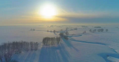 Aerial view of cold winter landscape arctic field, trees covered with frost snow Stock Footage 165574203
