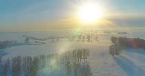 Aerial view of cold winter landscape arctic field, trees covered with frost snow Stock Footage 165574477