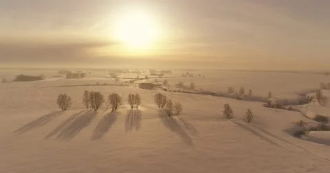 Aerial view of cold winter landscape arctic field, trees covered with frost snow Stock Footage 165574494