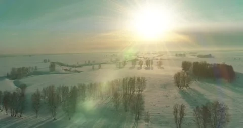Aerial view of cold winter landscape arctic field, trees covered with frost snow Stock Footage 165574850
