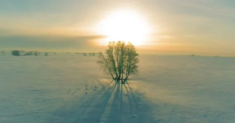 Aerial view of cold winter landscape arctic field, trees covered with frost snow Video stock 165574926