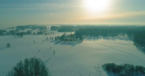 Aerial view of cold winter landscape arctic field, trees covered with frost snow Video stock 169970509