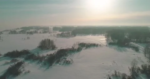 Aerial view of cold winter landscape arctic field, trees covered with frost snow Stock Footage 169970647