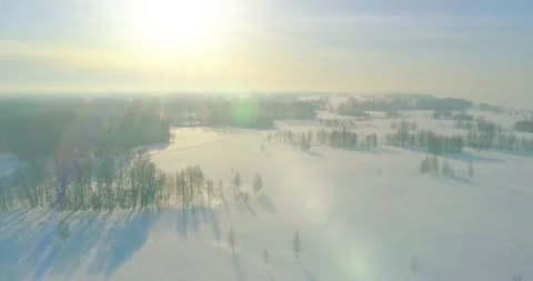 Aerial view of cold winter landscape arctic field, trees covered with frost snow Stock Footage 169970847