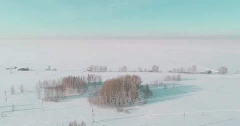 Aerial view of cold winter landscape arctic field, trees covered with frost snow Stock Footage 169971404