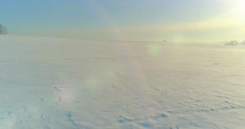 Aerial view of cold winter landscape arctic field, trees covered with frost snow Stock Footage 169971983