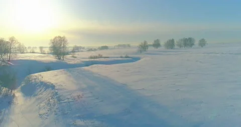 Aerial view of cold winter landscape arctic field, trees covered with frost snow Stock Footage 169973556