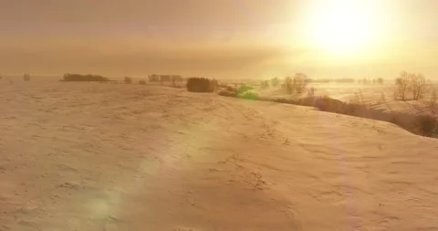 Aerial view of cold winter landscape arctic field, trees covered with frost snow Stock Footage 169973610