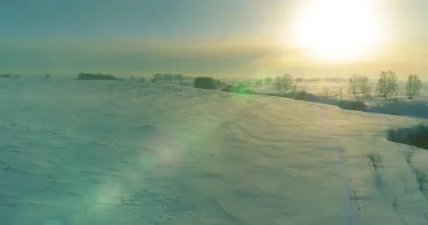 Aerial view of cold winter landscape arctic field, trees covered with frost snow Stock Footage 169973787