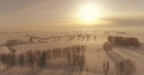 Aerial view of cold winter landscape arctic field, trees covered with frost snow Stock Footage 169974364