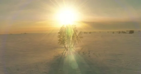 Aerial view of cold winter landscape arctic field, trees covered with frost snow Stock Footage 169974816