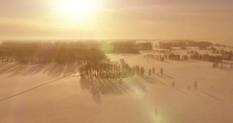 Aerial view of cold winter landscape arctic field, trees covered with frost snow Stock Footage 252083720