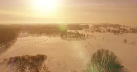 Aerial view of cold winter landscape arctic field, trees covered with frost snow Stock Footage 252083761