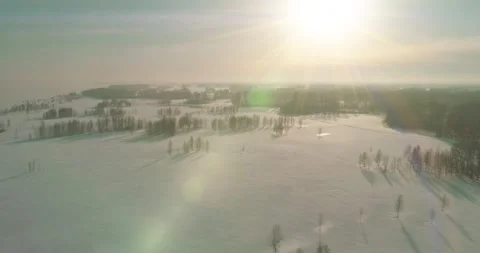Aerial view of cold winter landscape arctic field, trees covered with frost snow Stock Footage 252083876