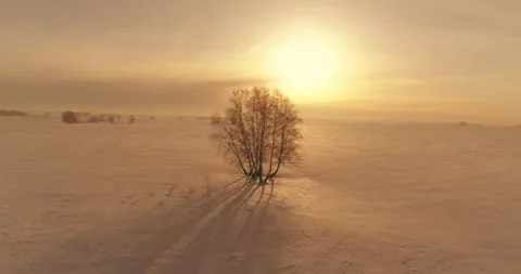 Aerial view of cold winter landscape arctic field, trees covered with frost snow Stock Footage 252085546