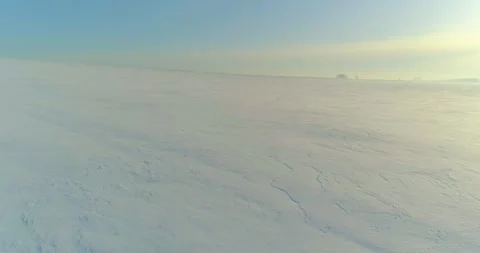 Aerial view of cold winter landscape arctic field, trees covered with frost snow Stock Footage 252107759