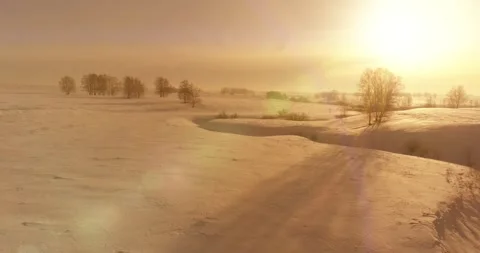 Aerial view of cold winter landscape arctic field, trees covered with frost snow Stock Footage 252107857