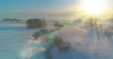 Aerial view of cold winter landscape arctic field, trees covered with frost snow Stock Footage 252108402