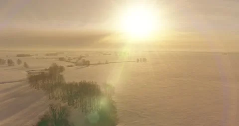 Aerial view of cold winter landscape arctic field, trees covered with frost snow Stock Footage 252108856
