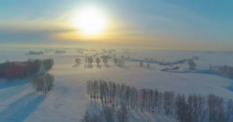 Aerial view of cold winter landscape arctic field, trees covered with frost snow Stock Footage 252109097