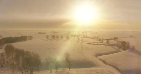 Aerial view of cold winter landscape arctic field, trees covered with frost snow Stock Footage 287296316