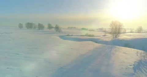 Aerial view of cold winter landscape arctic field, trees covered with frost snow Stock Footage 287333463