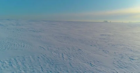 Aerial view of cold winter landscape arctic field, trees covered with frost snow Stock Footage 307574582