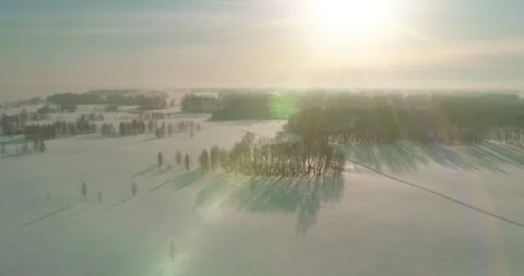 Aerial view of cold winter landscape arctic field, trees covered with frost snow Stock Footage 307575670