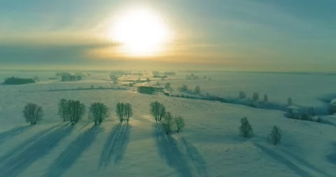 Aerial view of cold winter landscape arctic field, trees covered with frost snow Stock Footage 311525037