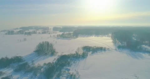 Aerial view of cold winter landscape arctic field, trees covered with frost snow Stock Footage 311525628