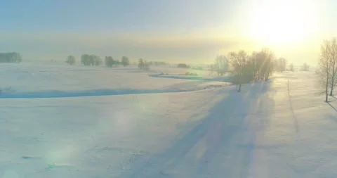 Aerial view of cold winter landscape arctic field, trees covered with frost snow Stock Footage 311526237