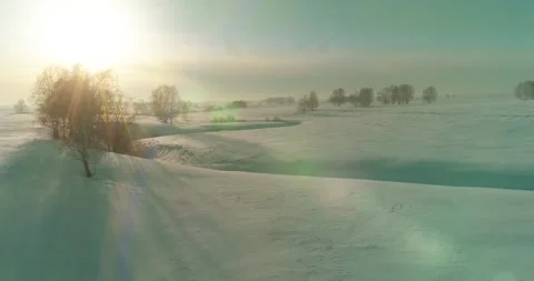Aerial view of cold winter landscape arctic field, trees covered with frost snow Stock Footage 311526285