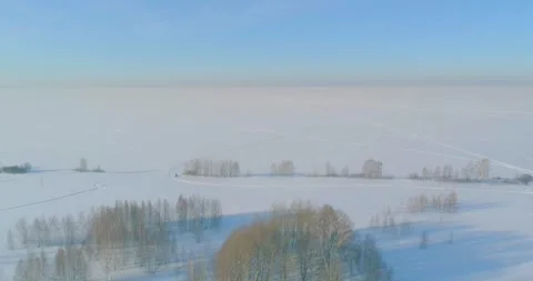 Aerial view of cold winter landscape arctic field, trees covered with frost snow Stock Footage 311554446