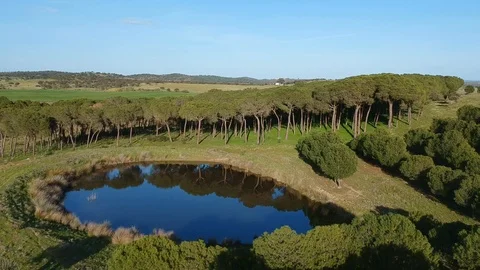Aerial view of colorful agricultural field with a lagoon Stock Footage 88409223