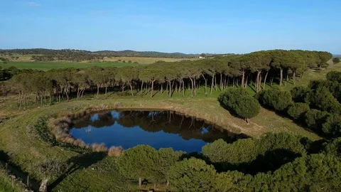 Aerial view of colorful agricultural field with a lagoon Stock Footage 88409495