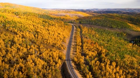 Aerial view of colorful fall foliage along scenic by way route 39 in northe.. Video stock 246727575